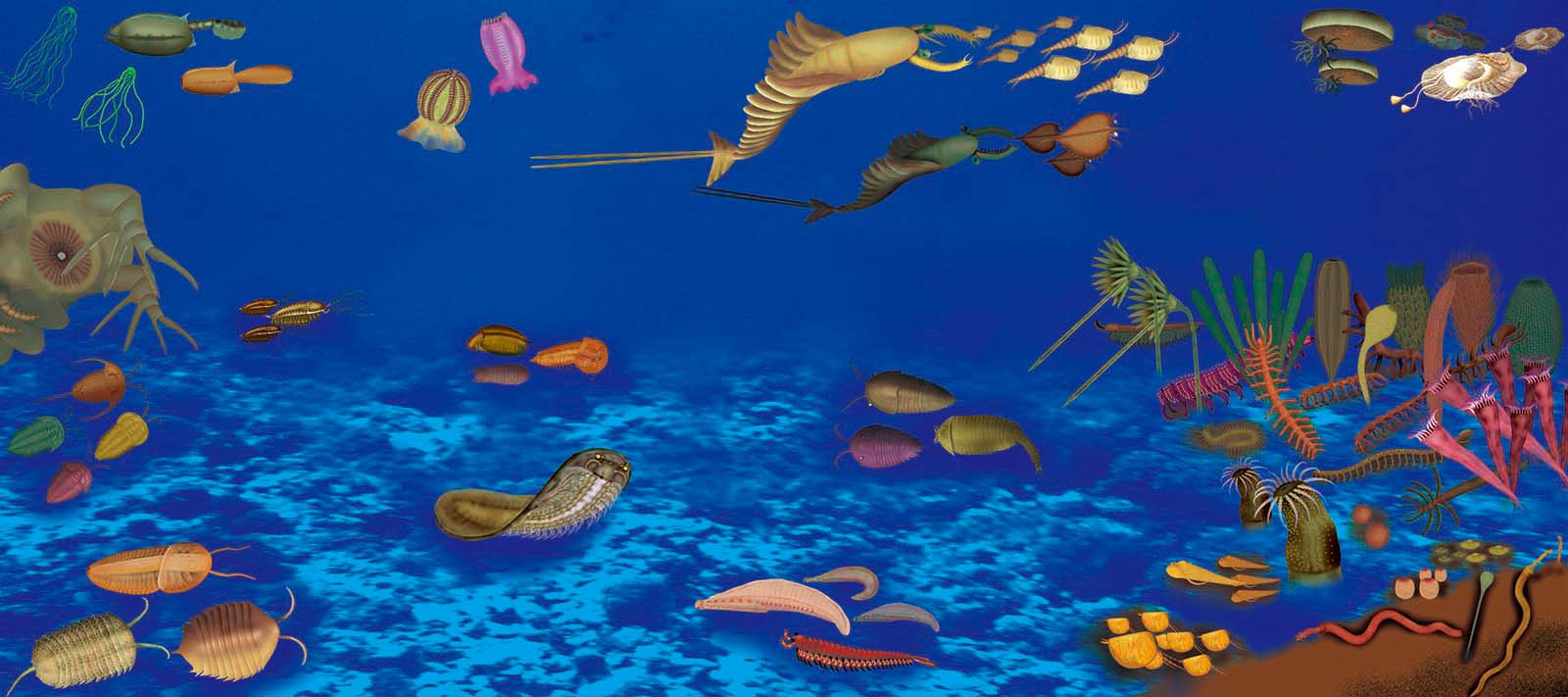 澄江动物群生态复原图