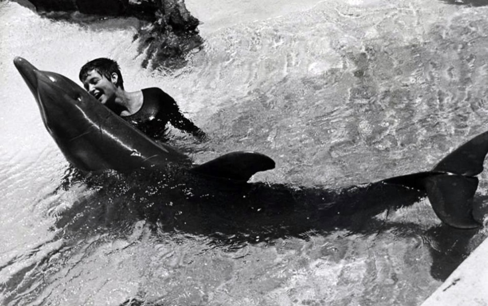 ƿǺPeter23ŮоMargaret Howe ˫ȷɱ