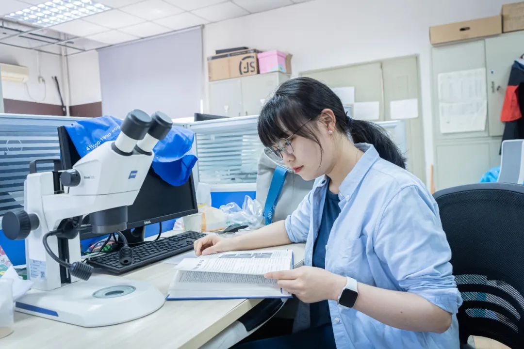 ����ն����������ѧ���[ִ��̽������͵����غ�����