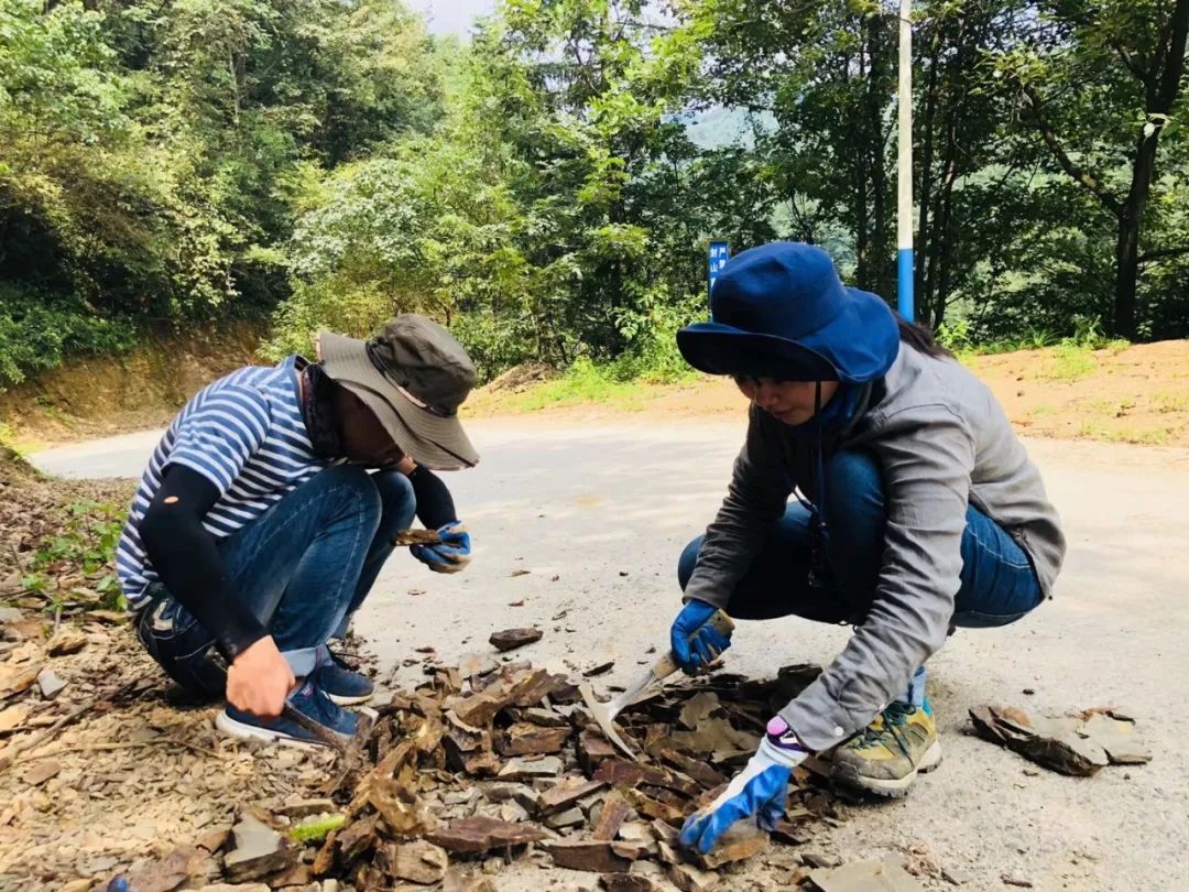 ����ն����������ѧ���[ִ��̽������͵����غ�����