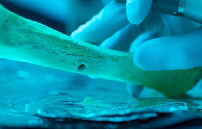 µĻоֻ3%ʷǰǵı׽