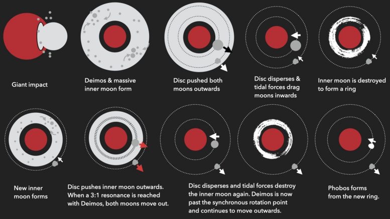 ձ溽оJAXAеĻMMX񱳺Ŀѧ֪ʶ