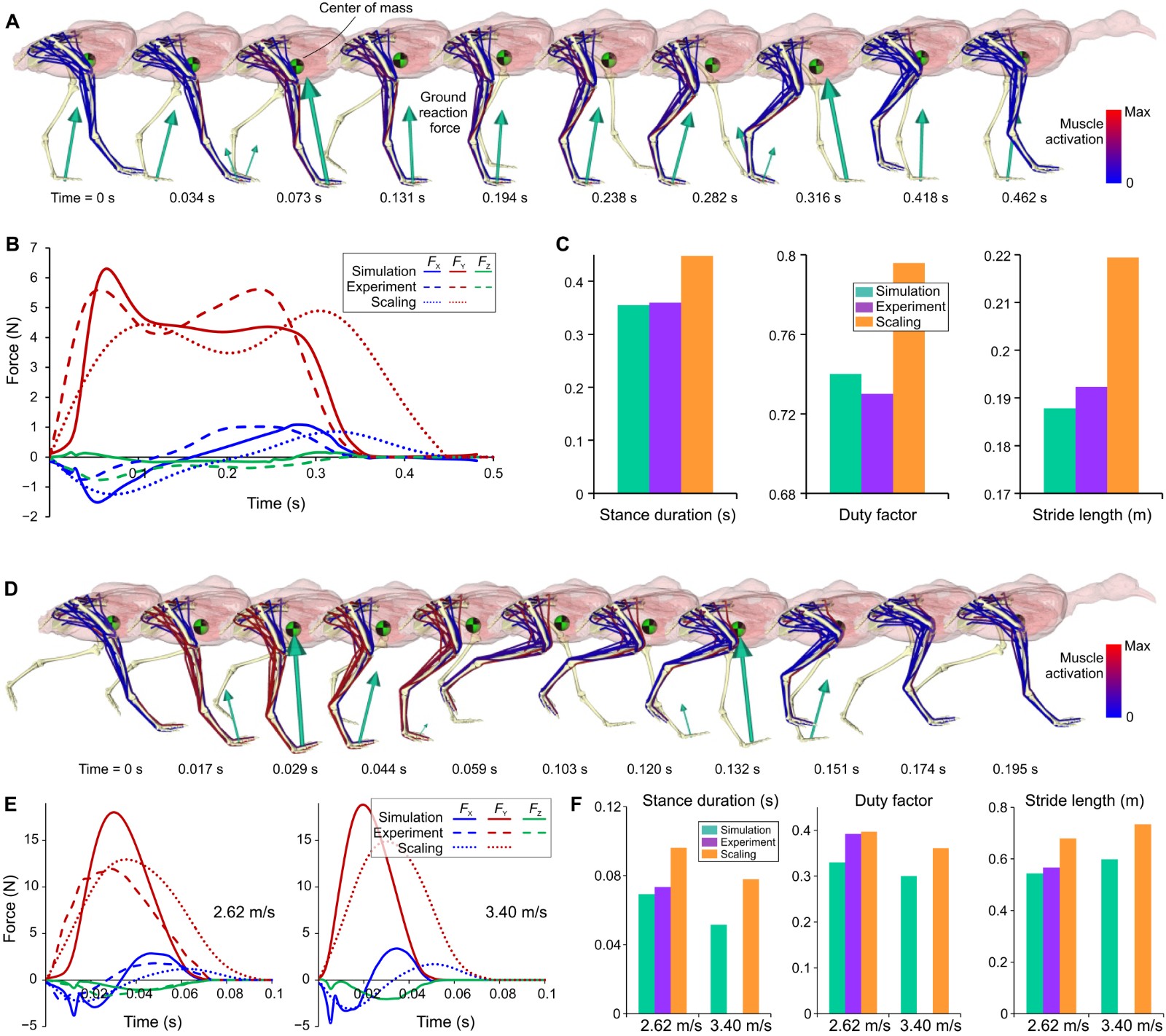 ĳЩ˫�����ߵĿ�������ͨ�����ذڶ�β���������ƶ� ������ڶ��ֱ�