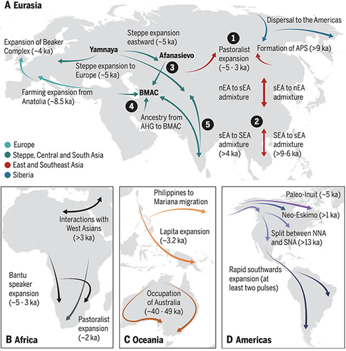 近万年全球人群活动