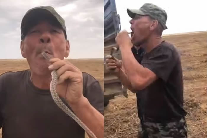 俄罗斯农民在田地发现一条小蛇 表演吞蛇时被咬舌头中毒身亡