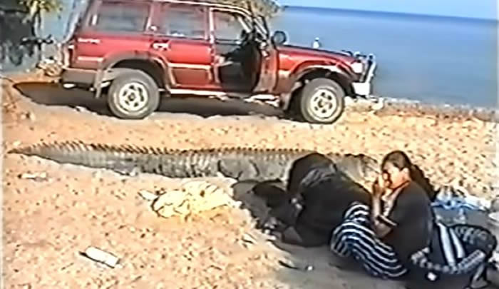 澳洲男子露营遭4.2公尺巨鳄拖出帐篷狠咬 隔壁帐篷勇猛阿嬷骑上鳄鱼头逼它松开血口