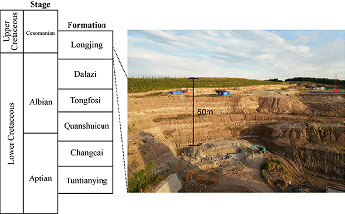 ������ز���Ϣ�Լ��ھ��ֳ���Ƭ ��Rummy et al., 2021��