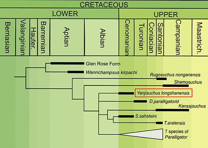 ��ɽ�Ӽ���ϵͳλ��ͼ ��Rummy et al., 2021��