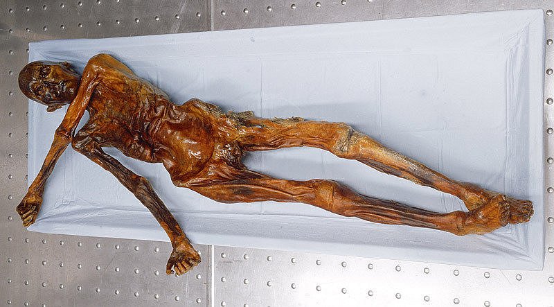 ŷ֪ľ˰´ġ30Ƕ˽٣