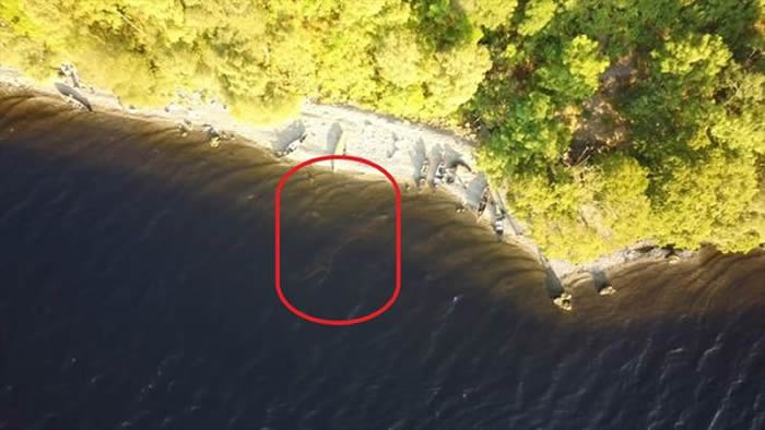 震惊世人的尼斯湖水怪（红圈处）影片，经证实为一场骗局。（翻摄Richard Mavor YouTube频道）