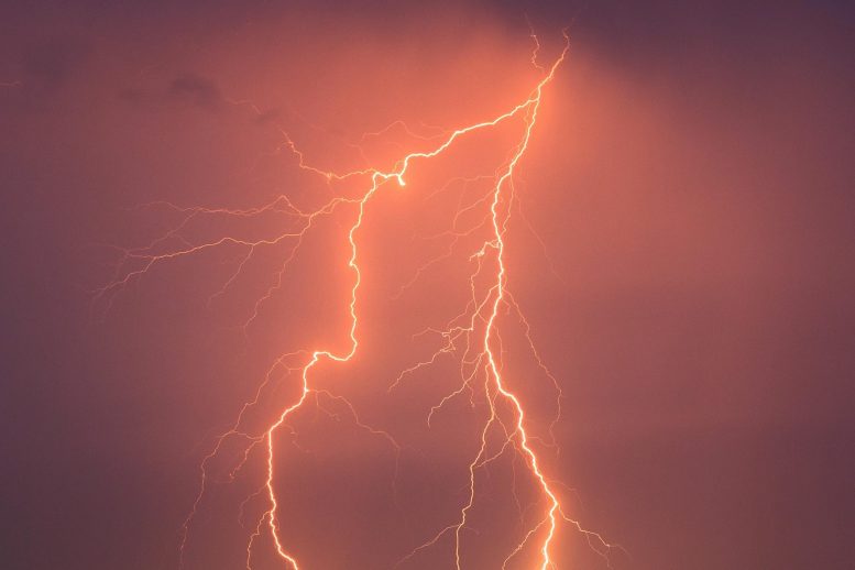 Icarus־ǱʹвŵԻ˻񹹳ɵΣպС