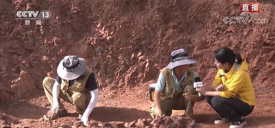 恐龙的“烦恼”你了解多少?恐龙也会得颈椎病