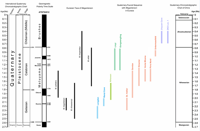 ��򤻢�����Լ��й���ŷ����Ҫ��򤻢���ֵص�����ֲ�