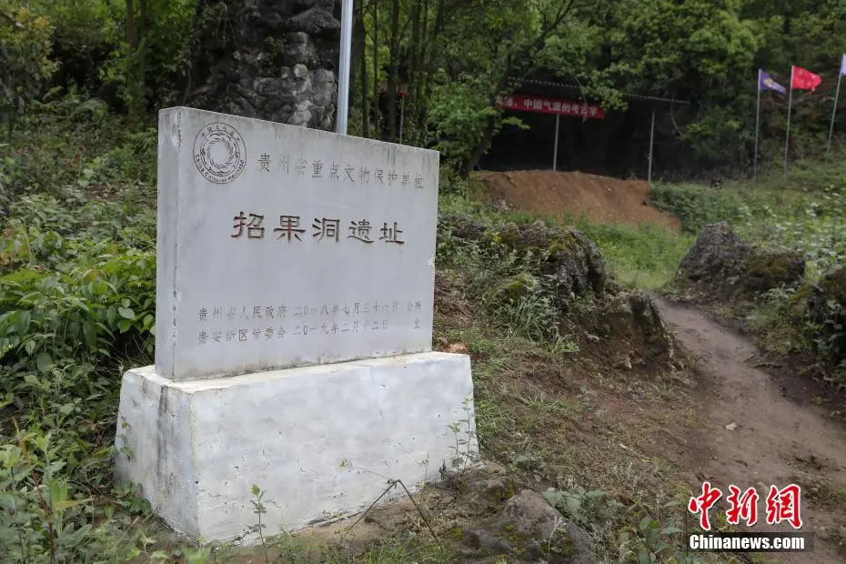 �й�����ַ�����ֳ����ĺ��� ��