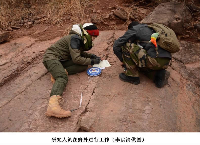 下侏罗统冯家河组中一足迹组合:云南最大的兽脚类足迹点