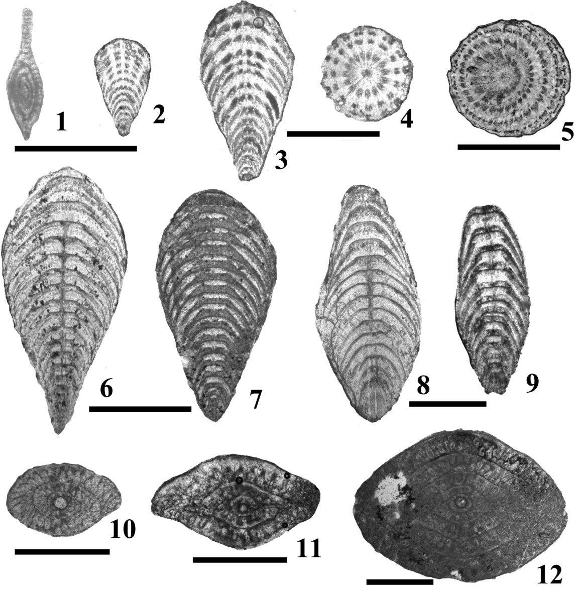 ǼȾ迨ѩԴеп׳滯ʯ