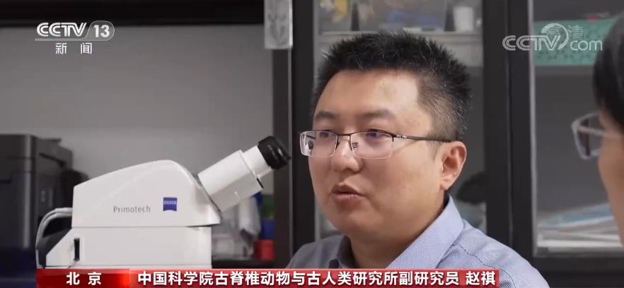 恐龙是温血还是冷血?怎样判断其年龄?