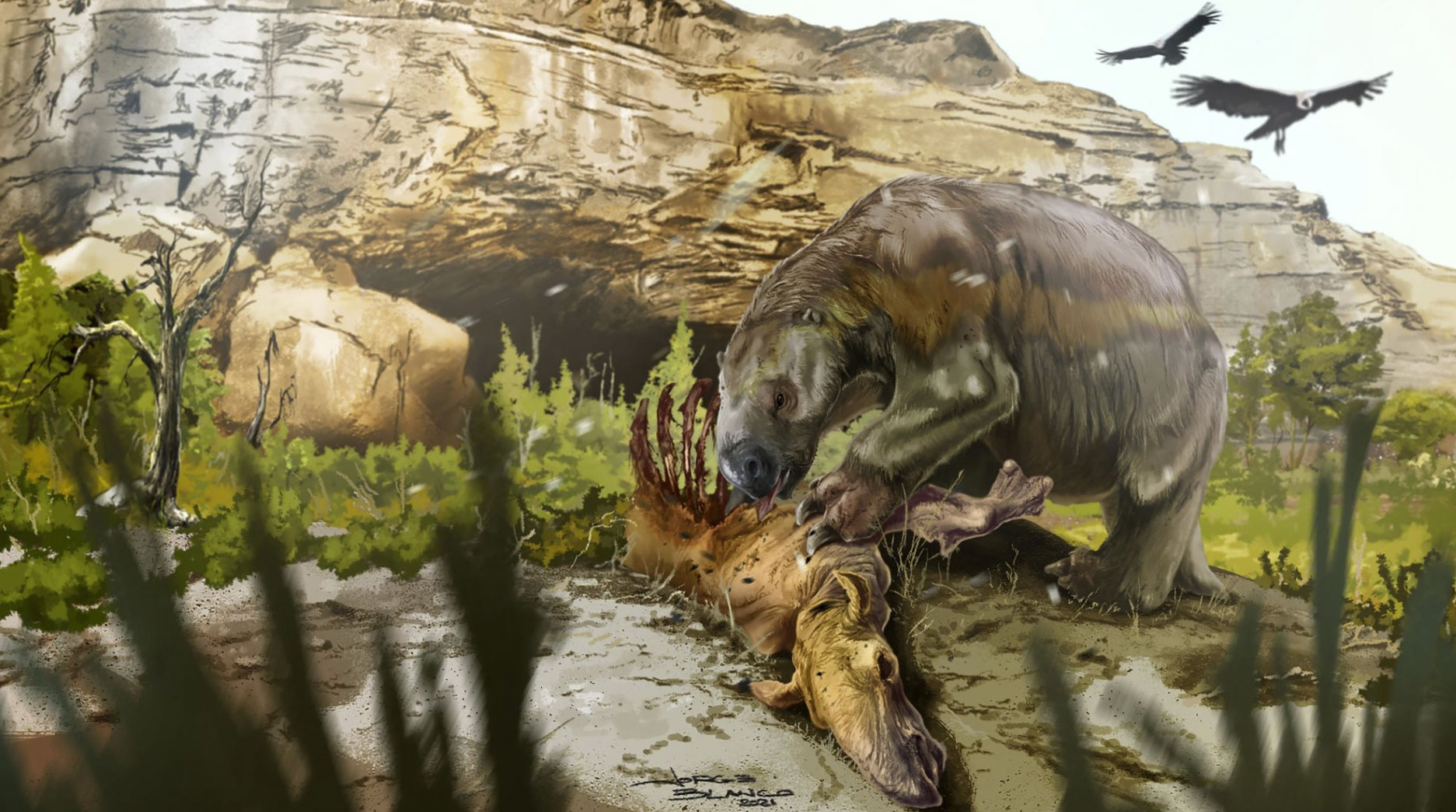 ���о�����1����ǰ�����������޵ĵ���Mylodon����ʳ����