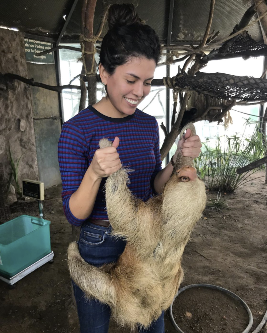 ���о�����1����ǰ�����������޵ĵ���Mylodon����ʳ����