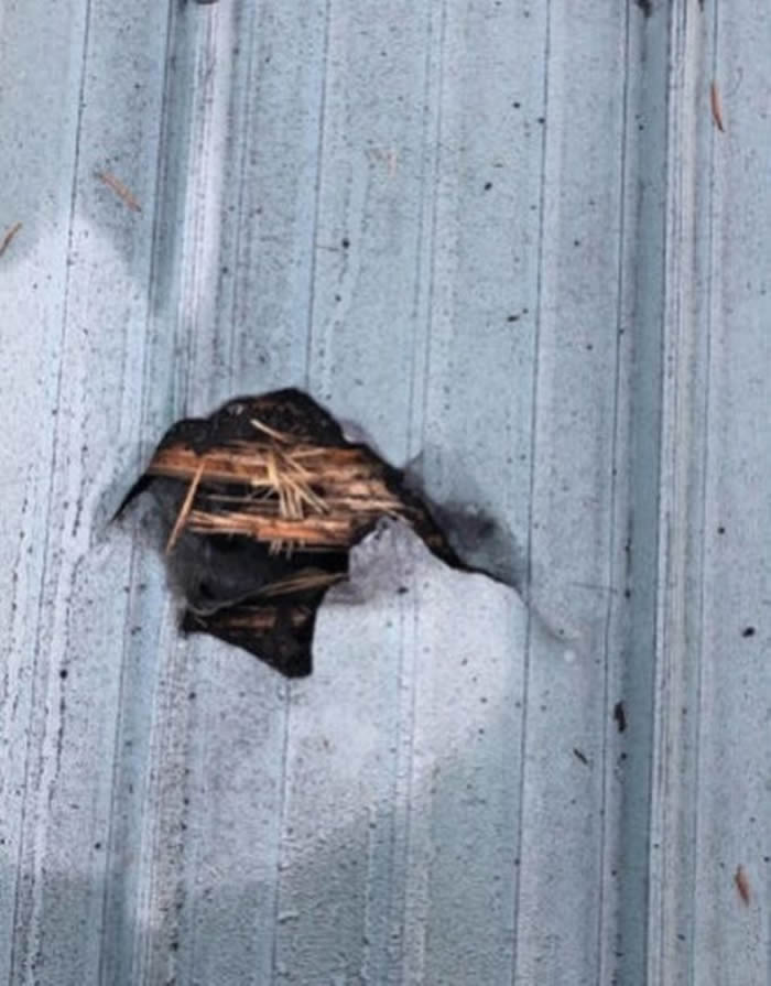 ôʫʡŮڴ˯ һʯײݶͷ