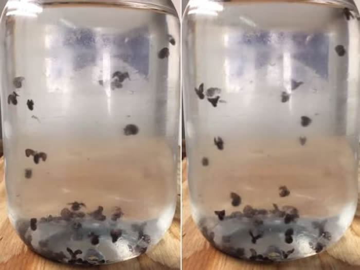 �ϼ�����������Β����ĬĬ�����ȵ���