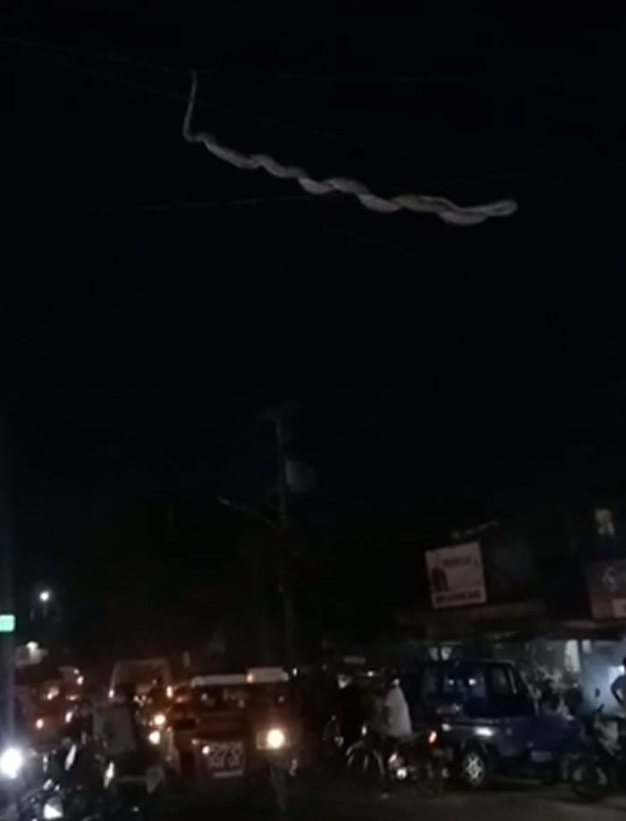 菲律宾薄荷岛塔比拉兰市闹市区一条巨蛇盘踞在电线上