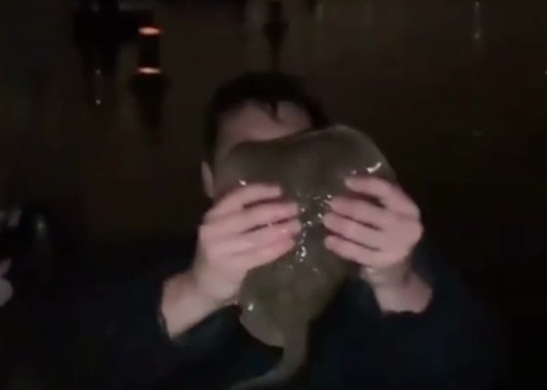 ӲԲ􄣨ݴҫ ֱβ̴ʹõز