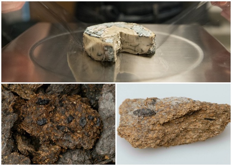 �µ���С���ֵ�������й���о���ʾ2700��ǰ���ι��Ѷ���Ʒ����֥ʿ��ơ��