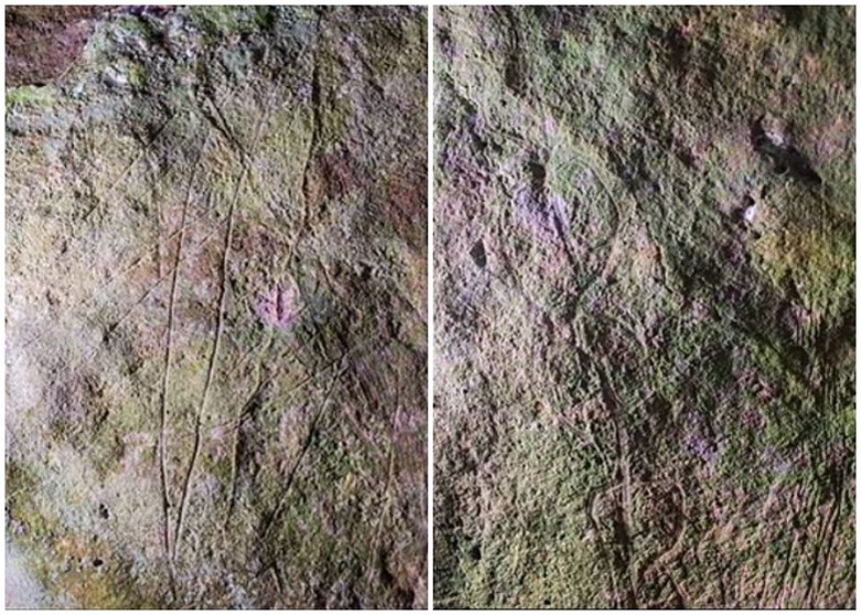 意大利临海洞穴中发现1.4万年前旧石器时代壁画 海鸟野牛栩栩如生