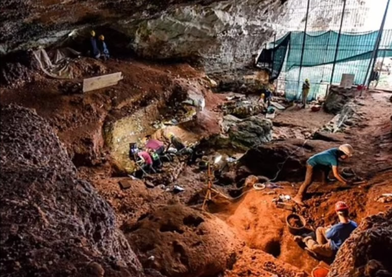 意大利临海洞穴中发现1.4万年前旧石器时代壁画 海鸟野牛栩栩如生