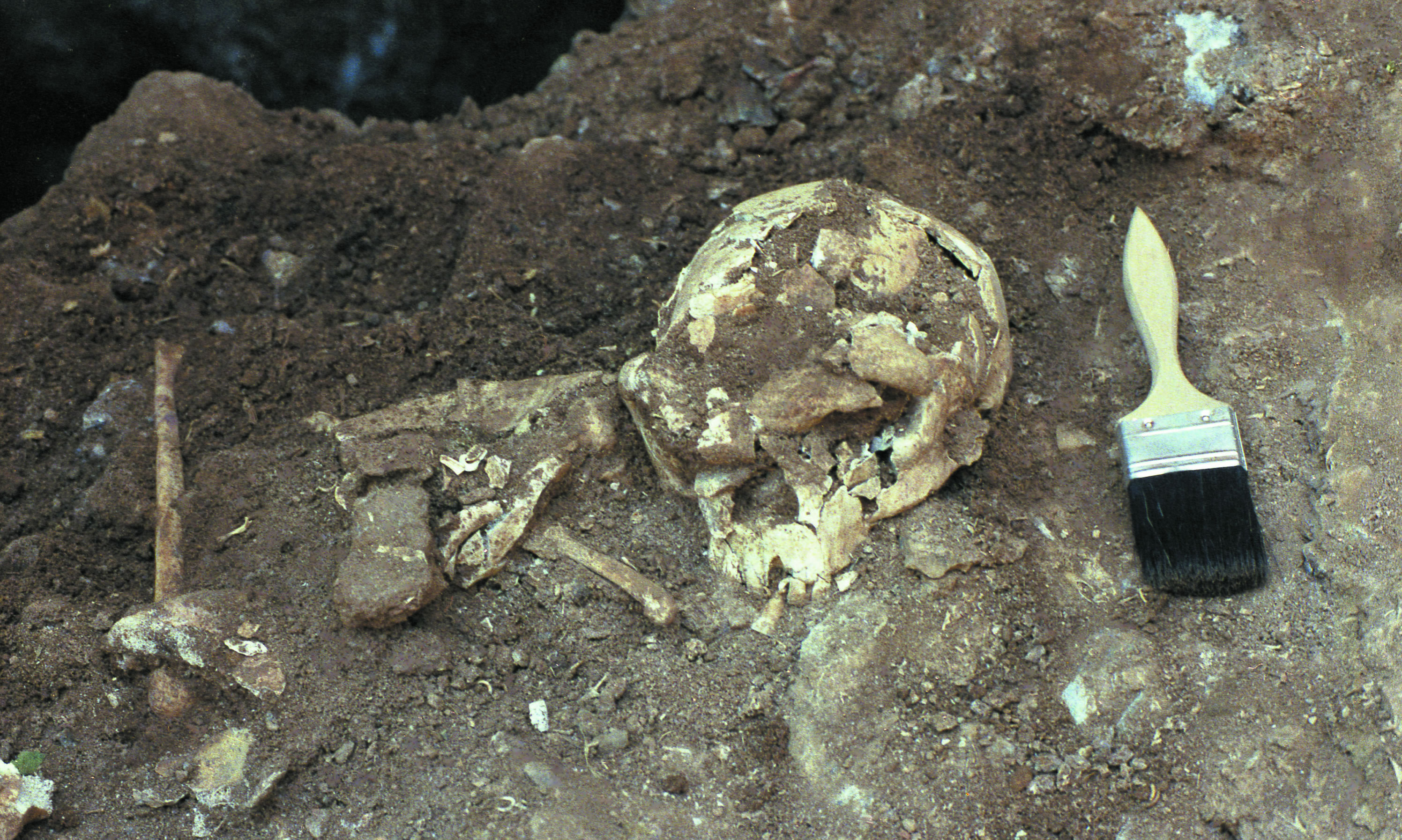 金牛山人化石出土现场