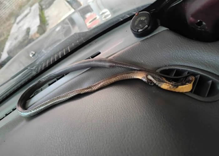 ��������ɰ��Խ��Ů��Ҫ����ʱ���������ڿ���һ���ж��۾���