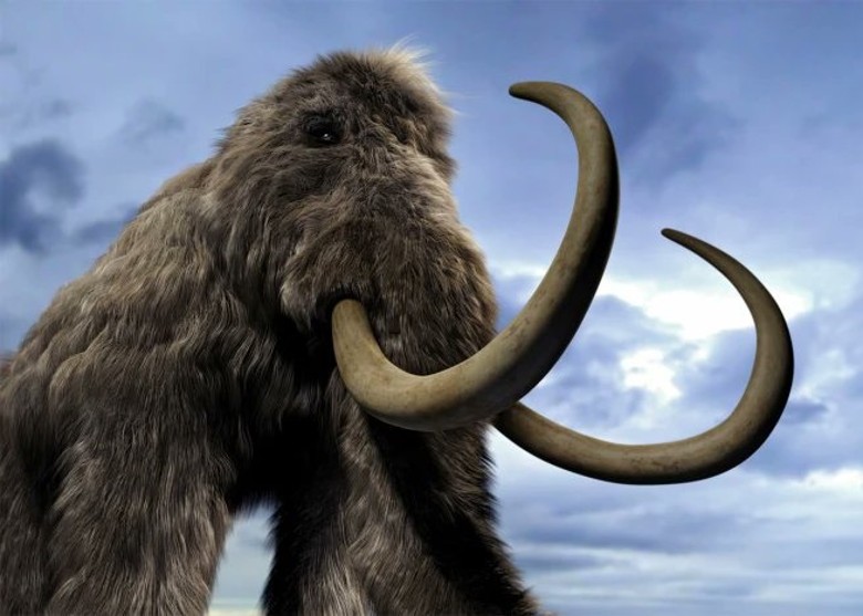 英国剑桥大学研究发现猛犸象灭绝与气候变化有关 并非人类过度猎杀