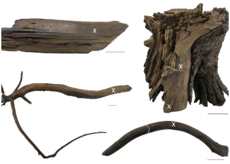 ά1000ǰ̤㱱 ȷ´½ĺҸײ471