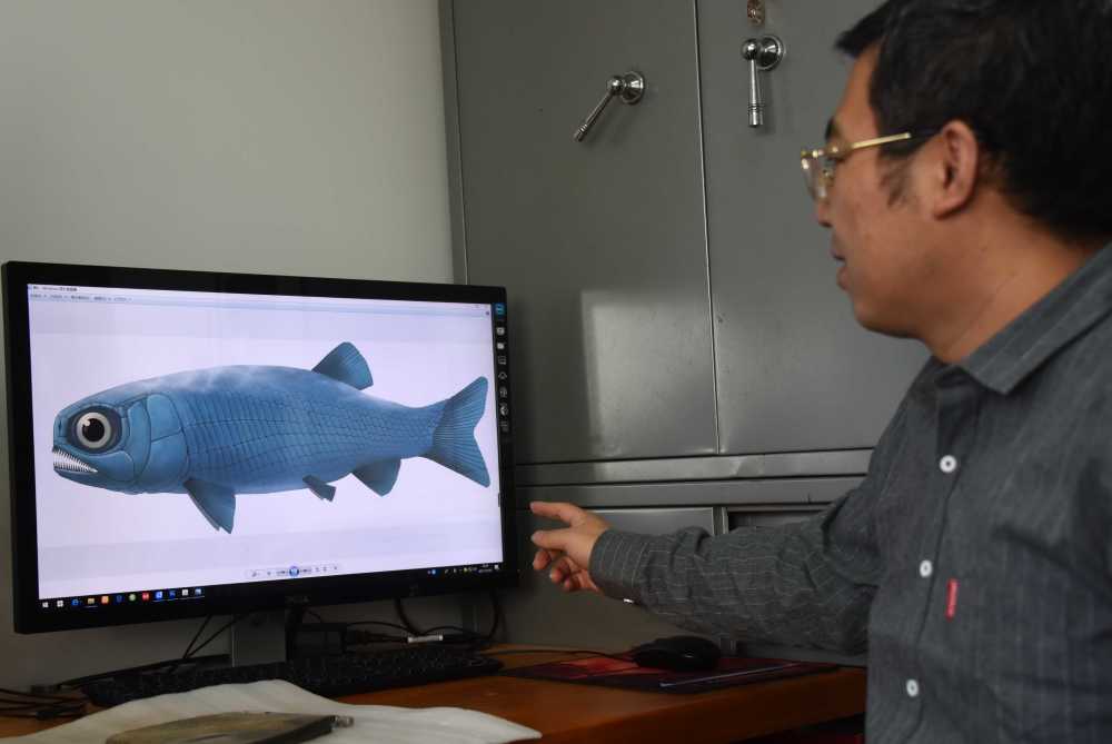 �й�������ƽ�����ͺ���ز㷢����������������ѳ��� ���2.44����Ϊ��������