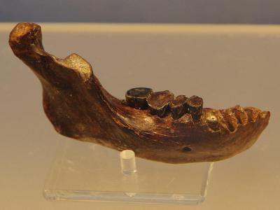 ԭ˻ʯˮֻƲ⴦ںƽϵ͵ĳαʱڡͼWikipedia