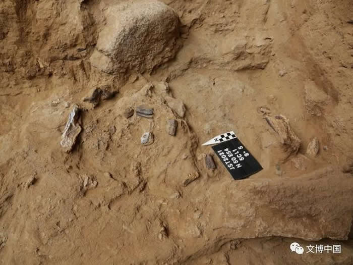 内蒙古金斯太旧石器时代人类洞穴遗址2021年度发掘取得新收获
