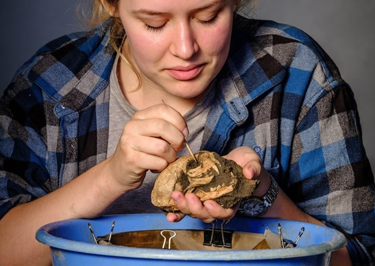 Ӣؿ沮һʱھ糡ַָʿη