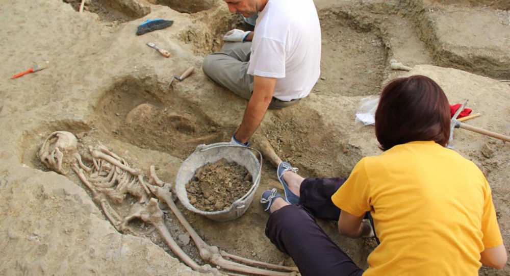 永久冻土中的古细菌可能对现代抗生素具有耐药性