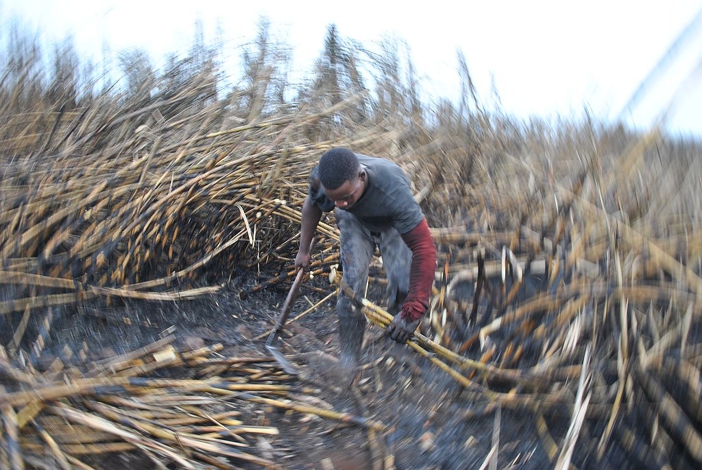 ȫ���������� ����ѹ����ص��������ಡ���ܳ�Ϊȫ���Ͷ��ײ����Ҫְҵ��