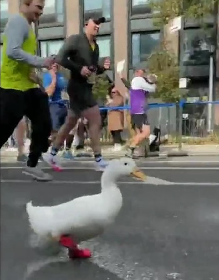 СѼWrinkleЬŦԼ ͷ