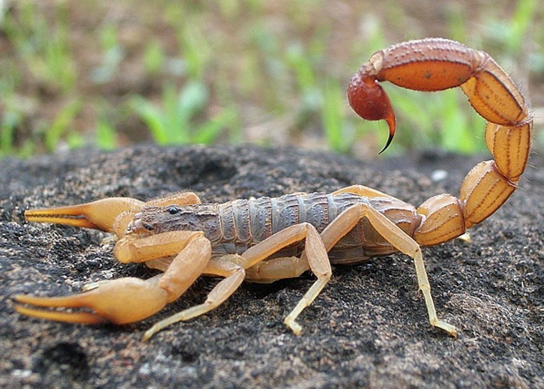 �����ϲ����а�˹���ֵ��ִ�����Ы�� ���3��450��