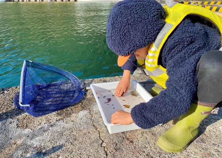 日本4岁男童与父亲钓鱼时发现鲜红小虾 证实是新品种Postodius sanguineus