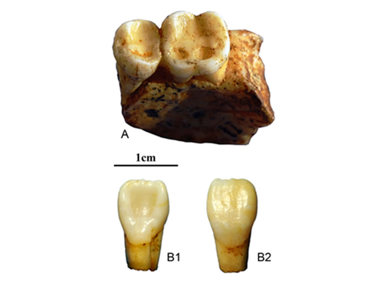 巫山龙骨坡遗址:东亚人类的祖先、史前文化的原点