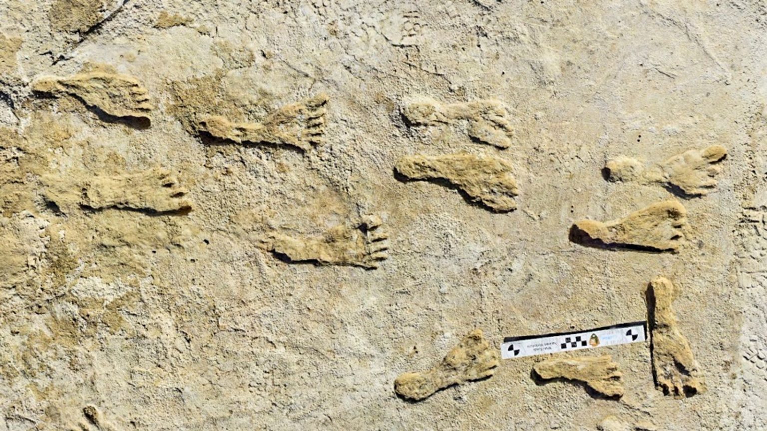 īݰɳҹ԰ֵĻʯ㼣ȷ2.3ǰ̤˱½