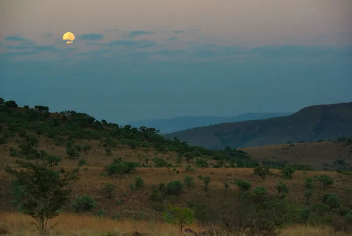 科学家才刚刚开始解开升星岩洞系统的很多秘密,他们对尚未发现的秘密感到激动不已。摄影:ROBERT CLARK