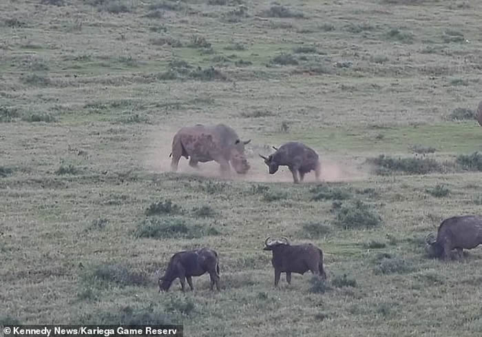 ϷǿмӽϬţΪСˮţ ȴΧĶ