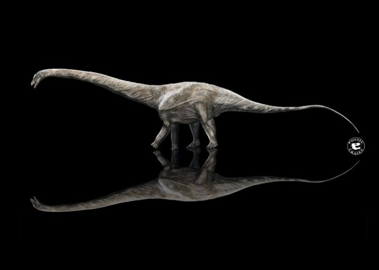 1972�귢�ֵ������Ƶĳ�����������֪��������Ŀ��� ������42��