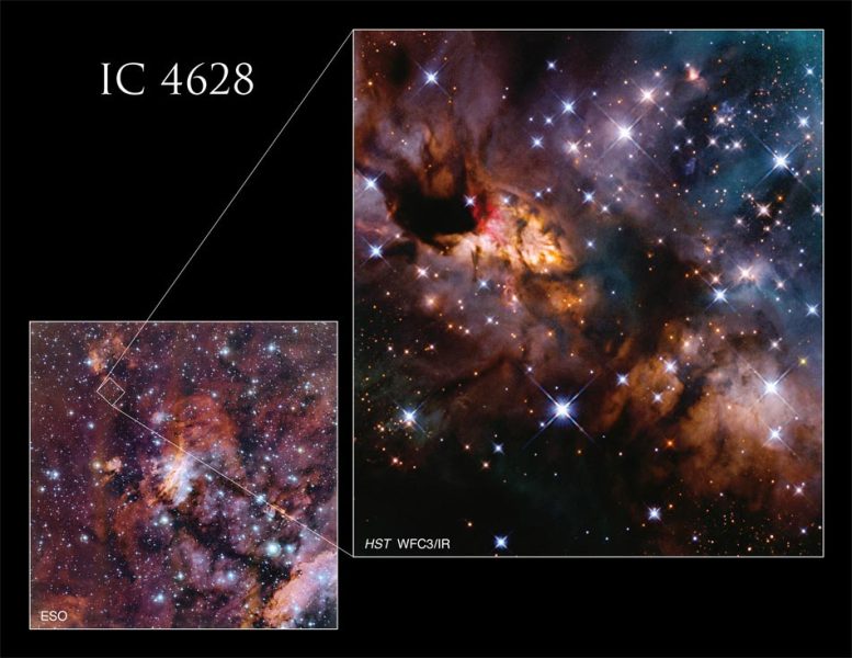 哈勃太空望远镜拍摄的天蝎座巨大恒星“育儿所”斑节虾星云IC 4628