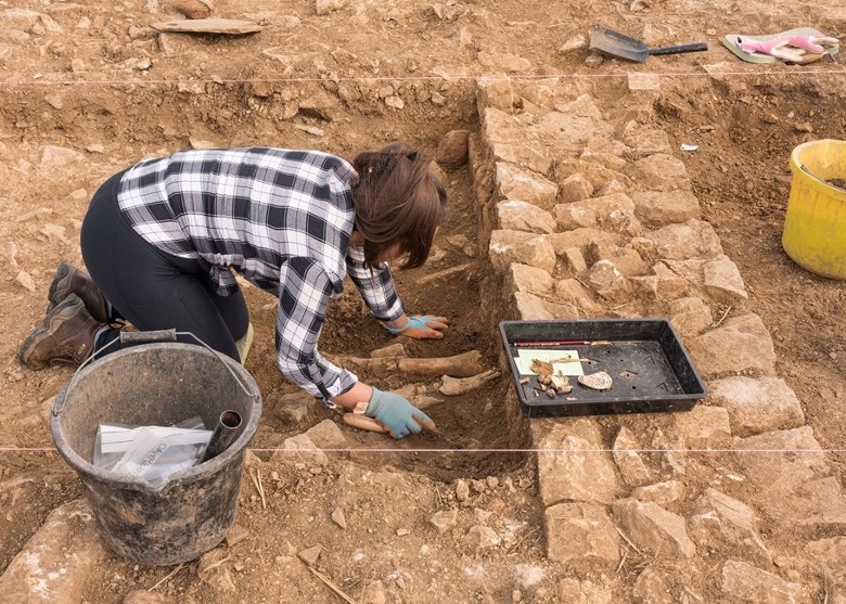 英国英格兰拉特兰郡农田出土一幅超过1600年历史的罗马时代马赛克地板画